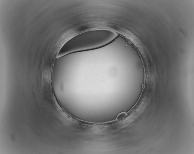 X0000115680905200911121243