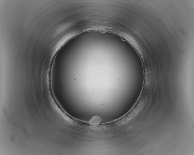 X0000115680906200911121243