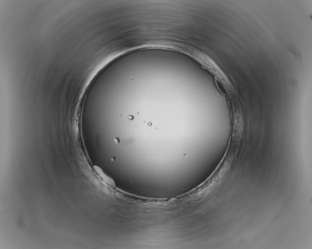 X0000115680908200911121243