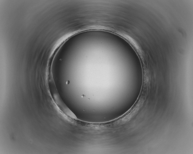 X0000115680910200911121243