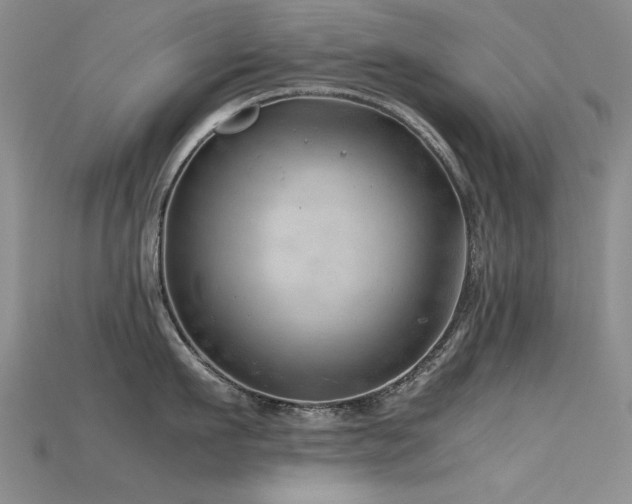 X0000115680911200911121243