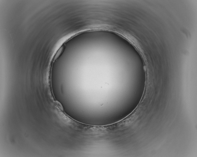 X0000115680912200911121243