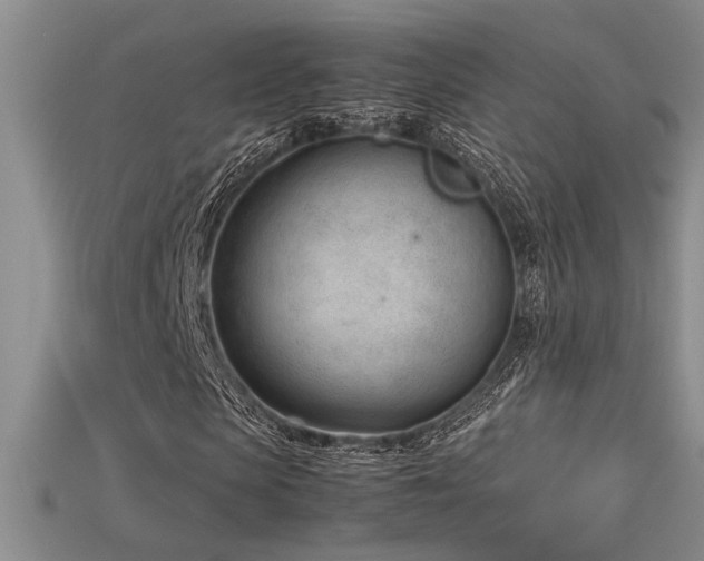 X0000115680913200911121243