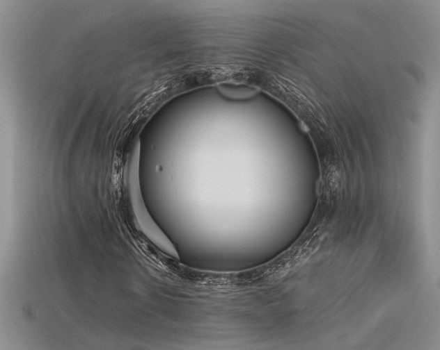 X0000115680914200911121243