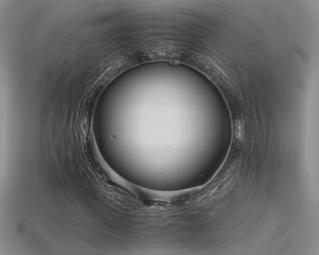 X0000115680915200911121243