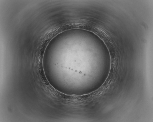 X0000115680917200911121243