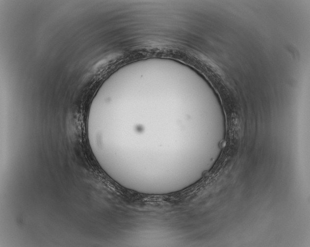 X0000115680918200911121243