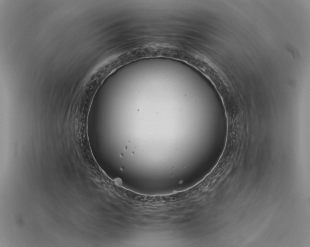 X0000115680919200911121243