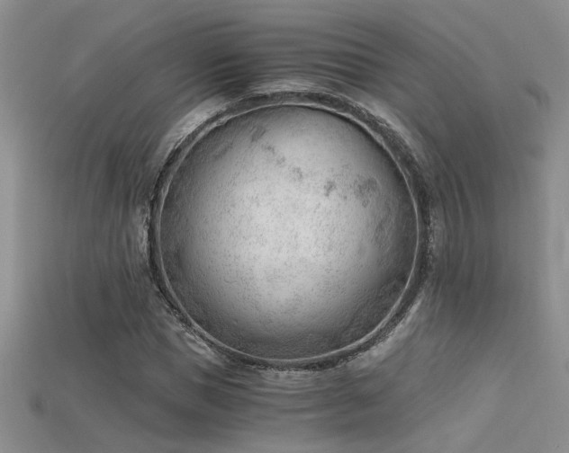 X0000115680921200911121243