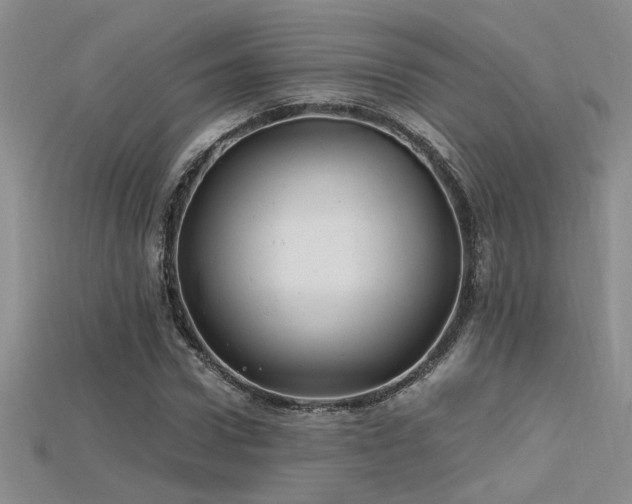 X0000115680922200911121243