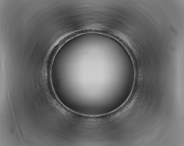 X0000115680923200911121243