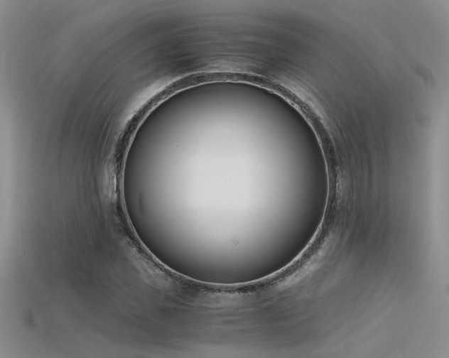 X0000115680925200911121243