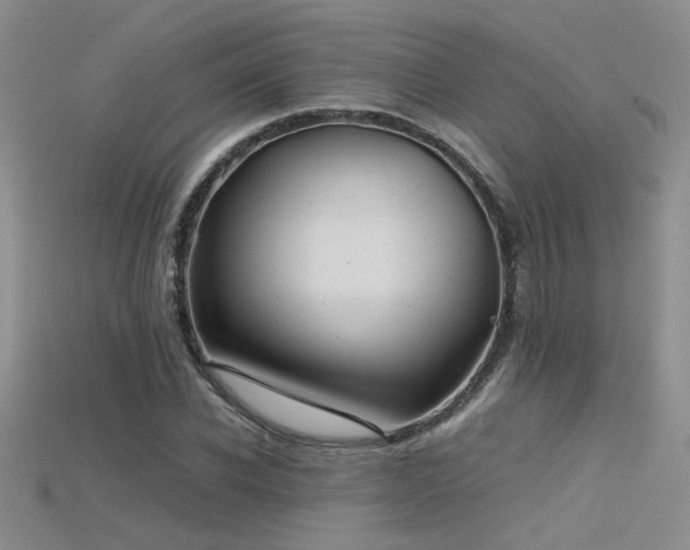 X0000115680926200911121243