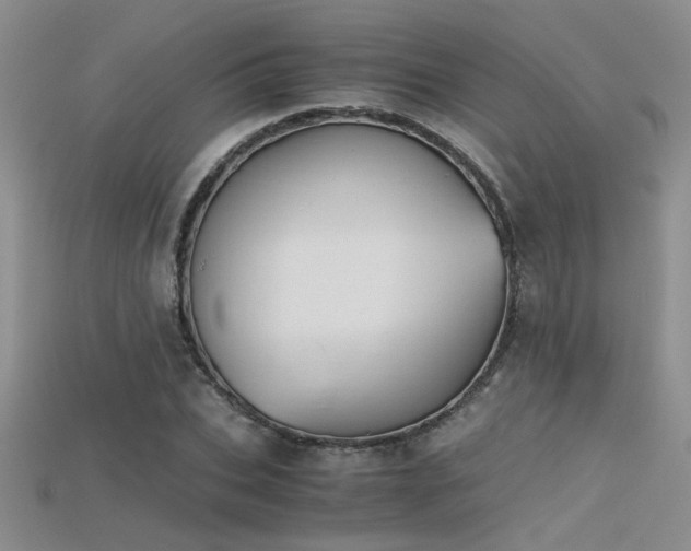 X0000115680927200911121243