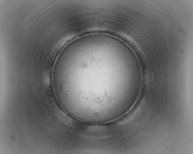 X0000115680929200911121243