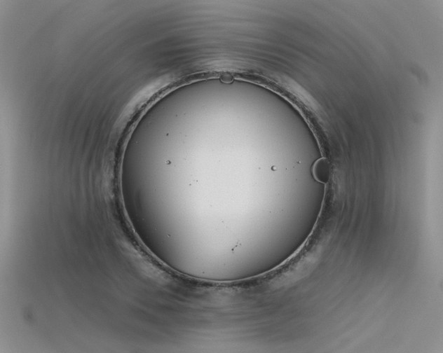 X0000115680930200911121243