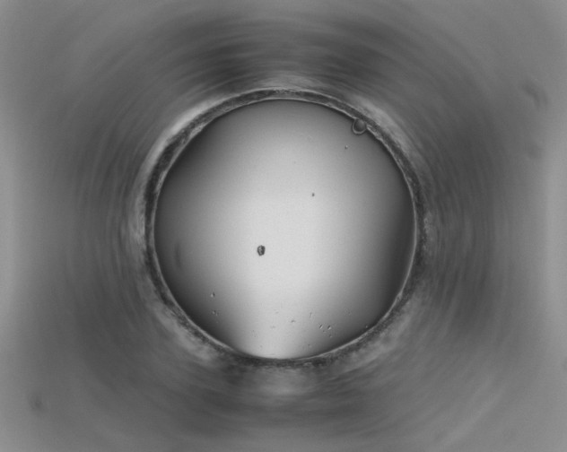 X0000115680931200911121243