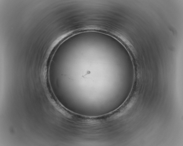 X0000115680933200911121243