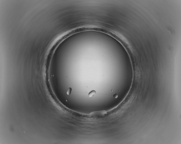 X0000115680935200911121243