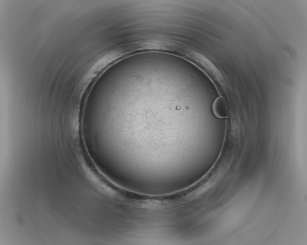 X0000115680938200911121243