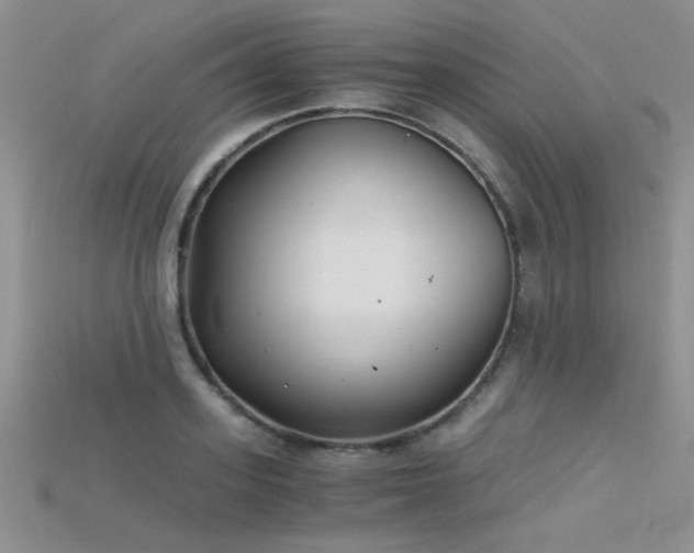 X0000115680939200911121243