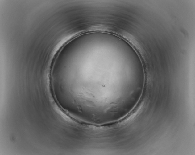 X0000115680941200911121243