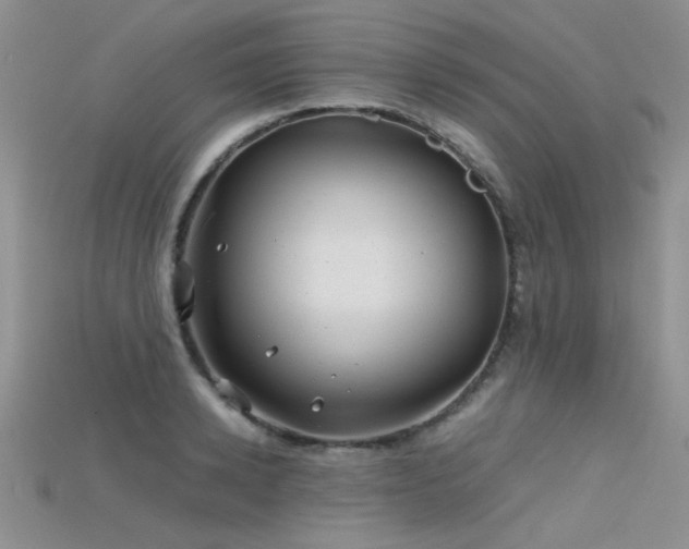 X0000115680942200911121243