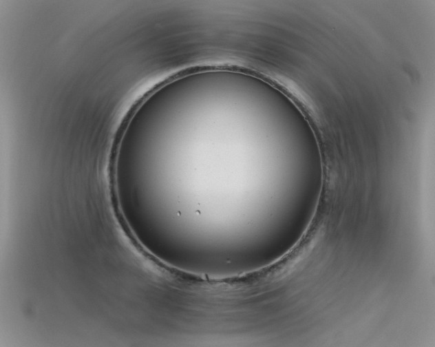 X0000115680943200911121243