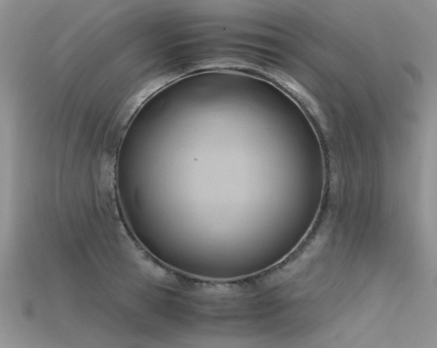 X0000115680945200911121243