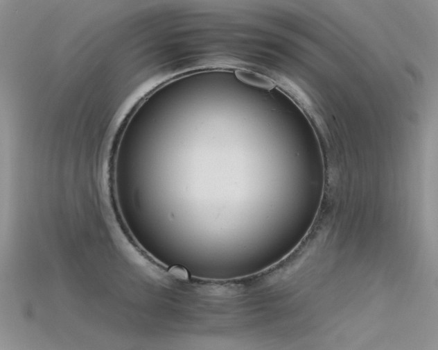 X0000115680947200911121243