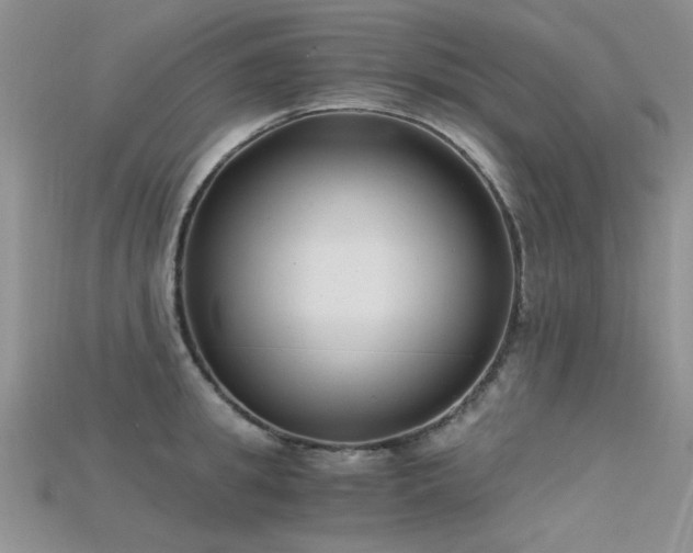 X0000115680949200911121243