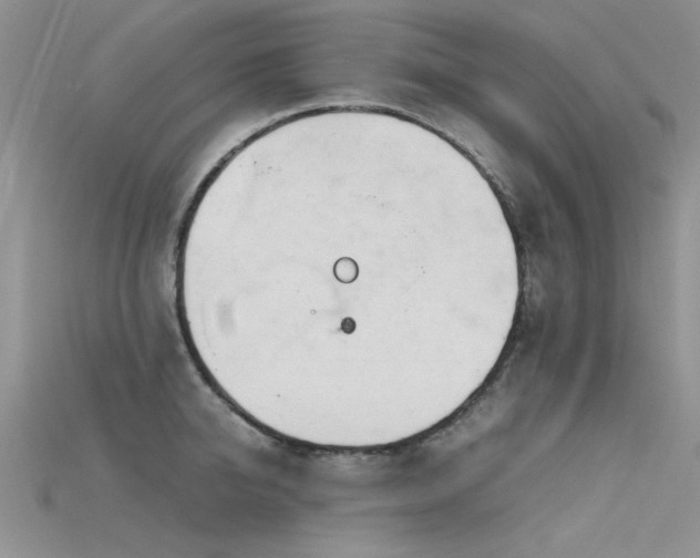 X0000115680950200911121243