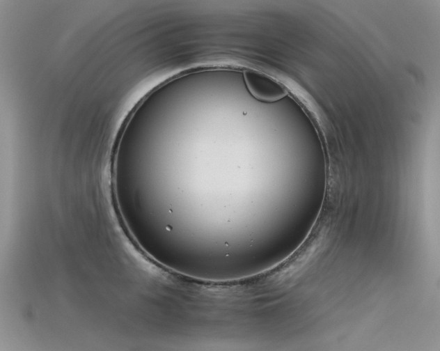 X0000115680951200911121243