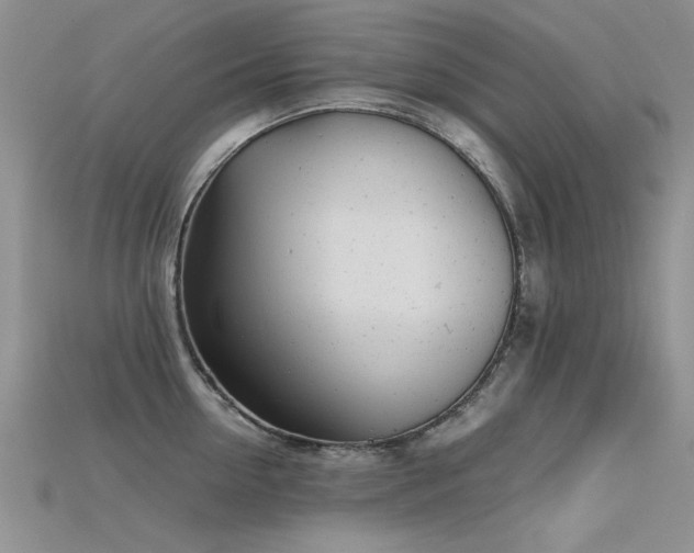 X0000115680954200911121243