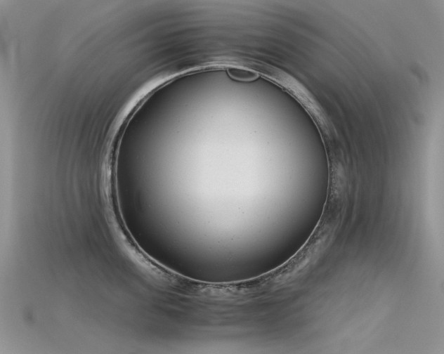 X0000115680955200911121243