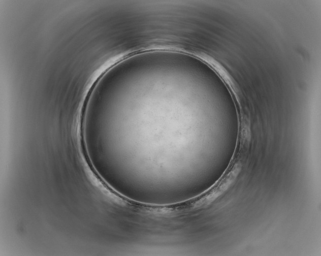 X0000115680957200911121243