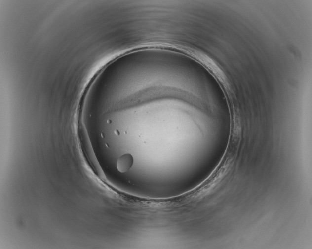 X0000115680958200911121243