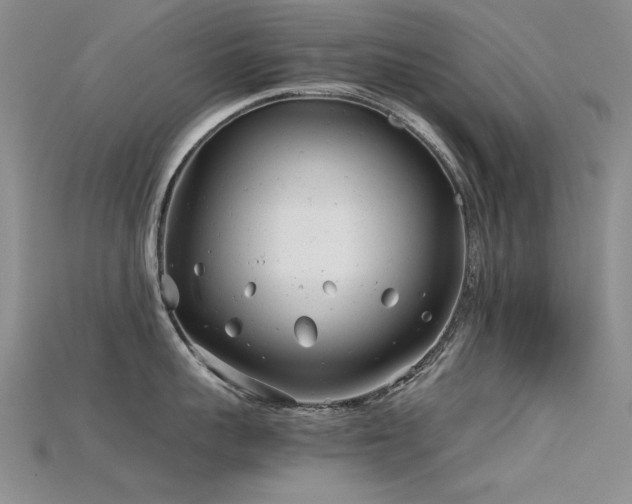 X0000115680959200911121243