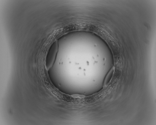 X0000115680961200911121243