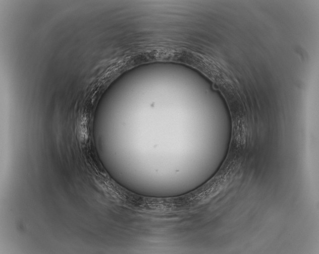 X0000115680962200911121243