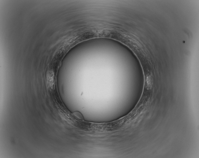 X0000115680963200911121243