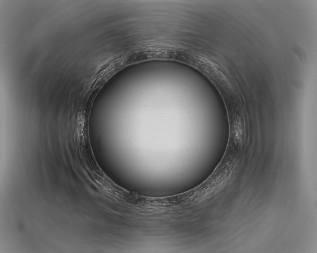 X0000115680964200911121243