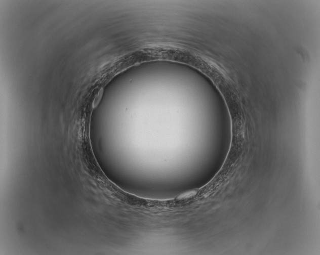 X0000115680965200911121243