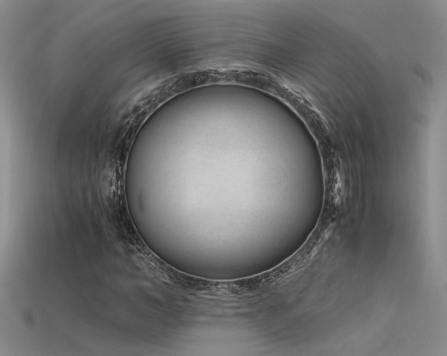 X0000115680966200911121243