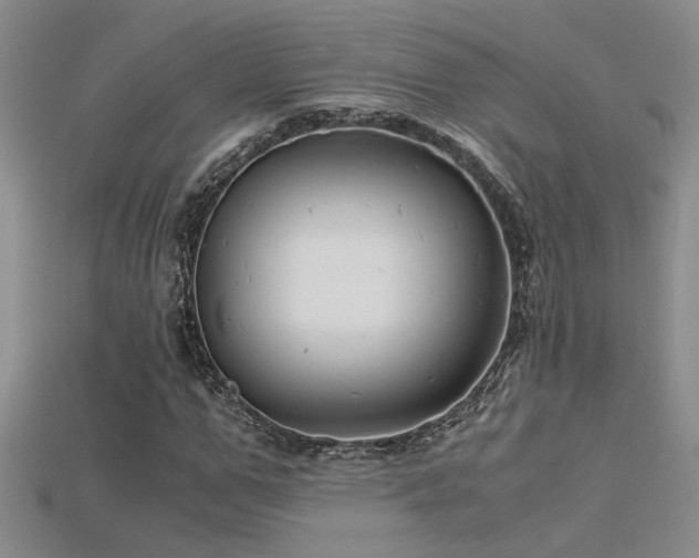 X0000115680967200911121242