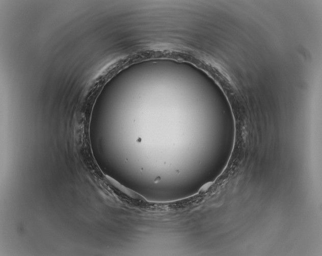 X0000115680968200911121242