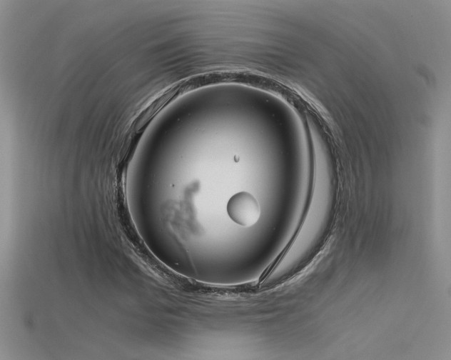 X0000115680969200911121242