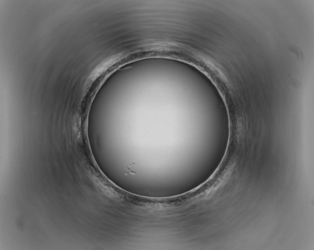 X0000115680970200911121242