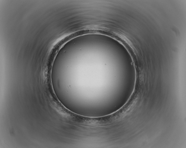 X0000115680971200911121242