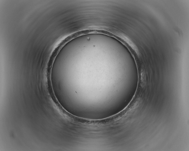 X0000115680972200911121242